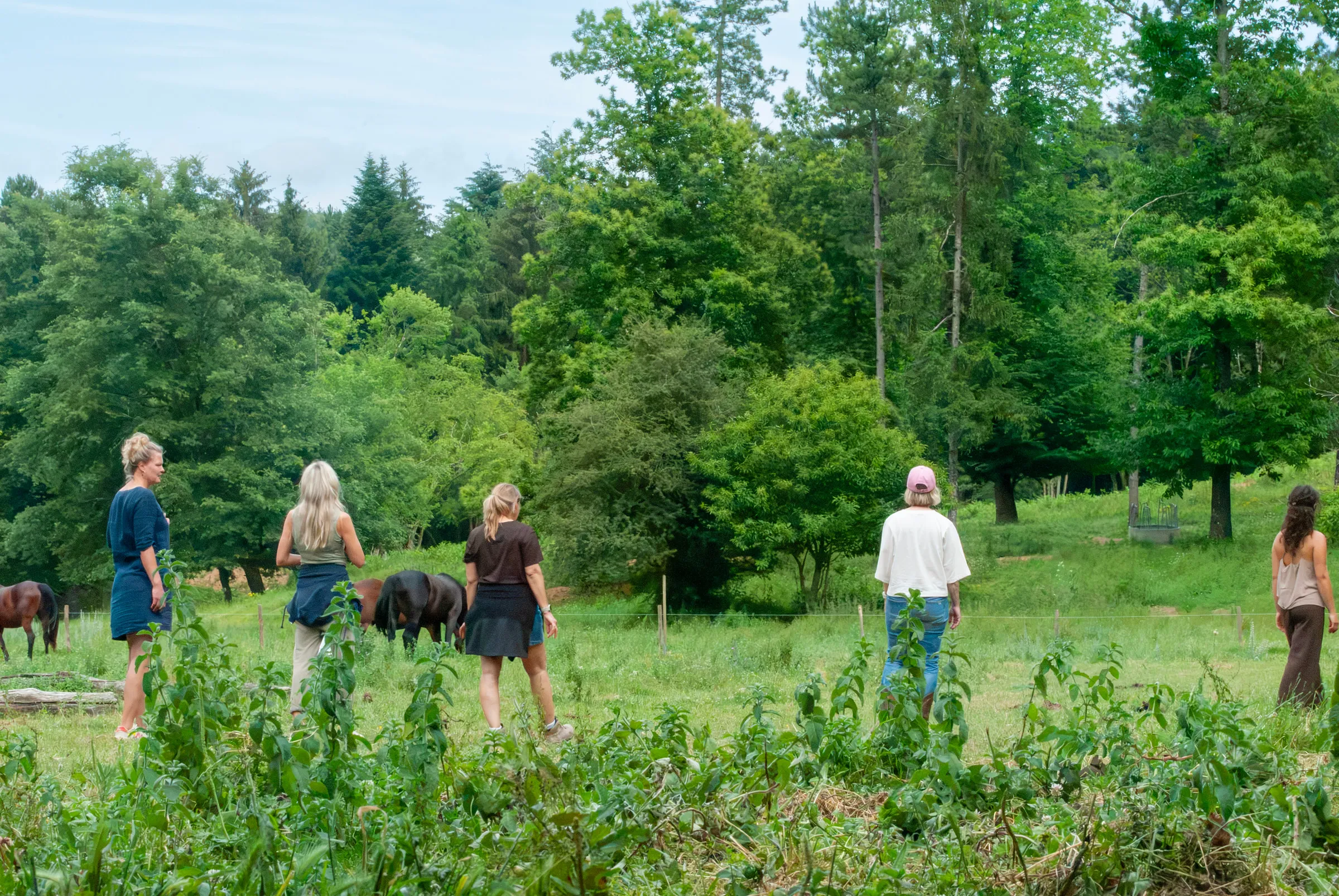 A small group standing in a clearing at Cornacchino, looking out over pasture and forest as horses graze nearby