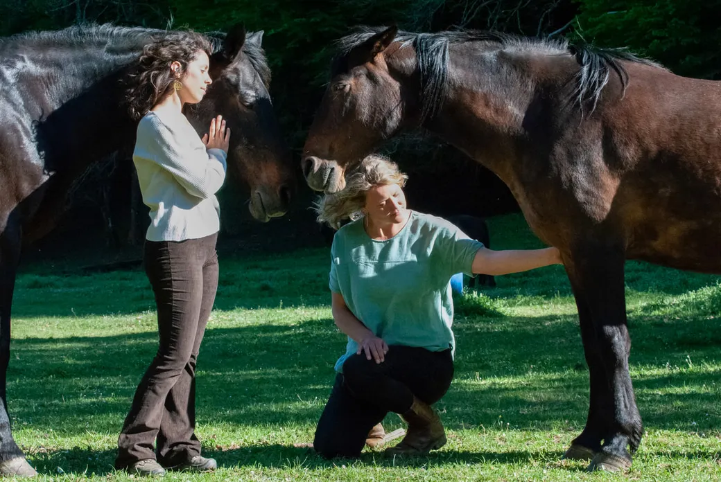 Isabelle and Roberta among the horses in a sunlit meadow, one standing quietly and the other kneeling to reach out
