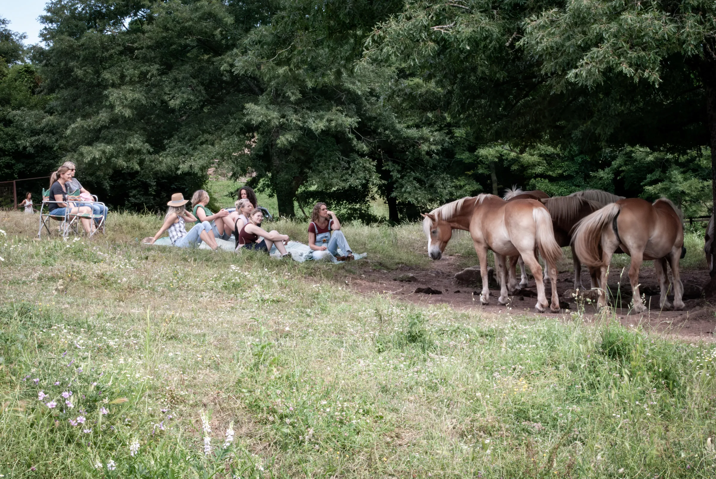 Women resting on a grassy slope while a group of pale chestnut horses grazes nearby