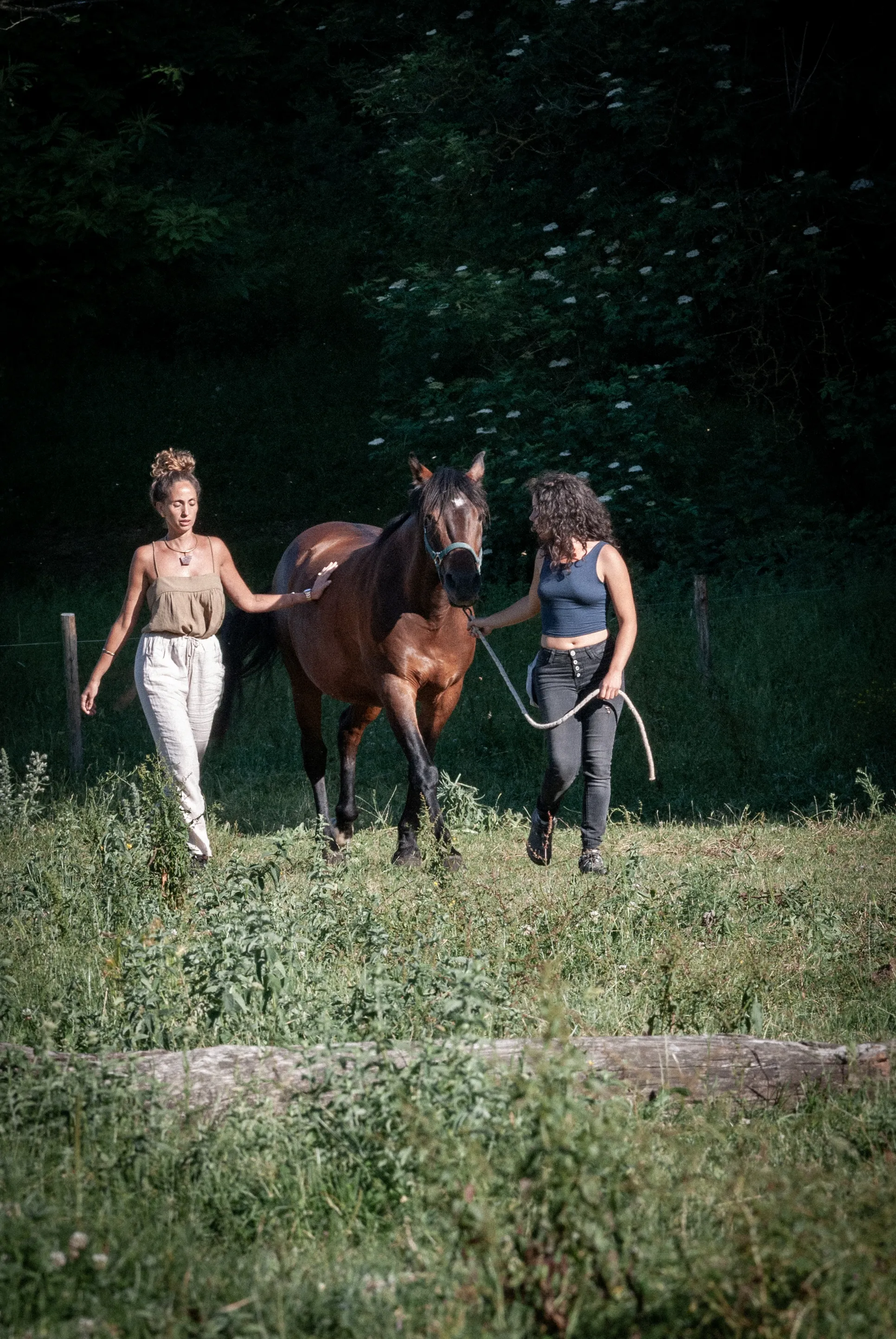 A woman leading a horse through the meadow at Cornacchino