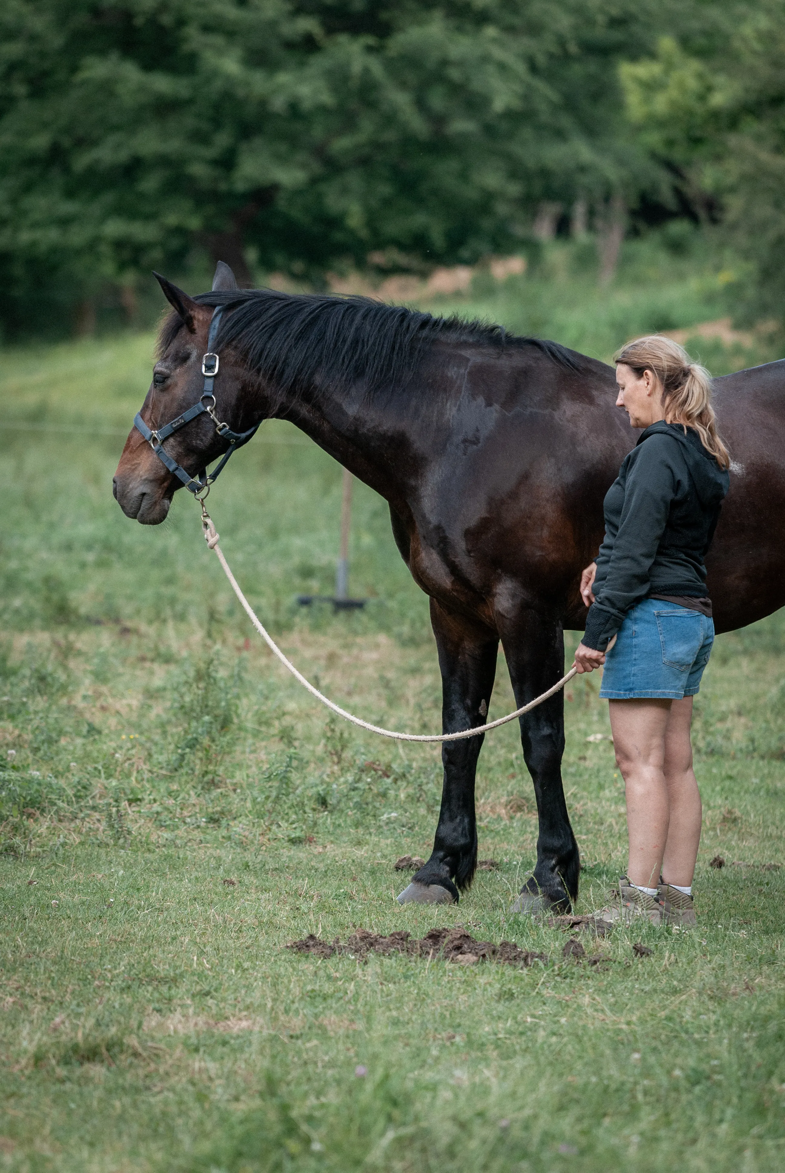 A woman in a quiet one-to-one encounter with a dark horse