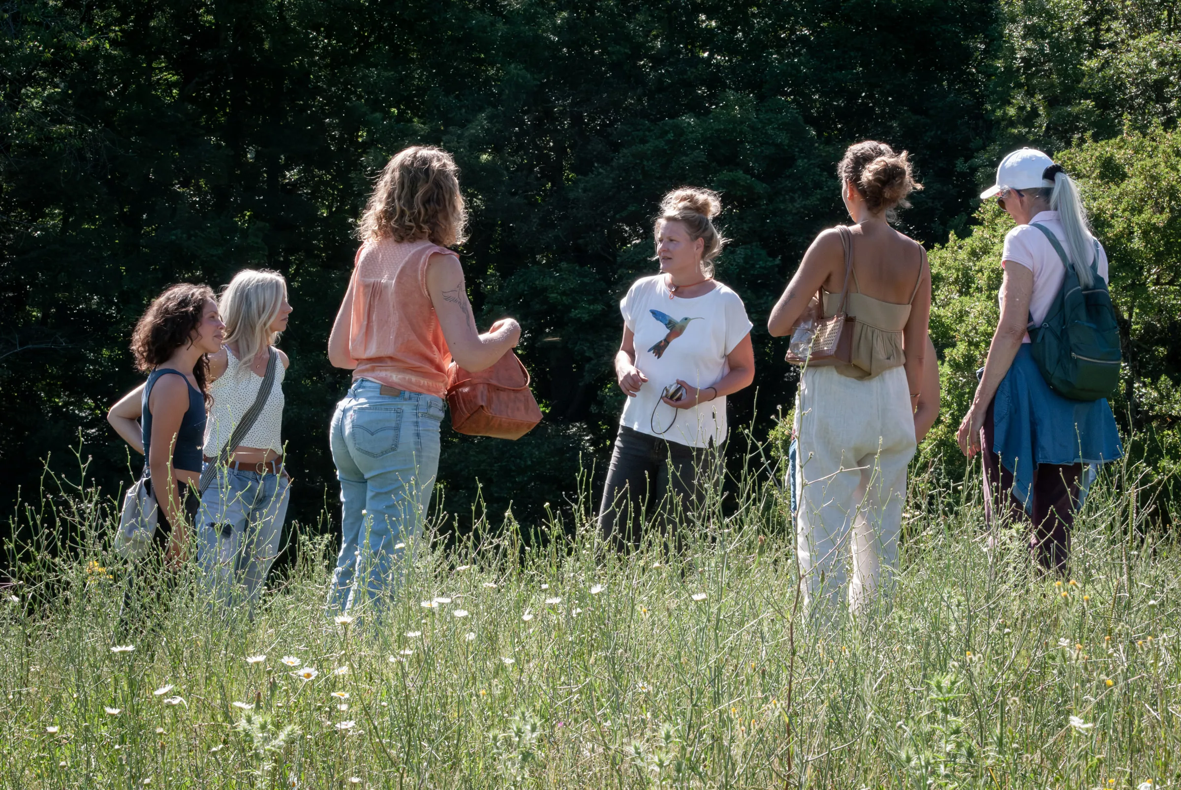 A group of women standing and talking in a tall summer meadow at the edge of the woods