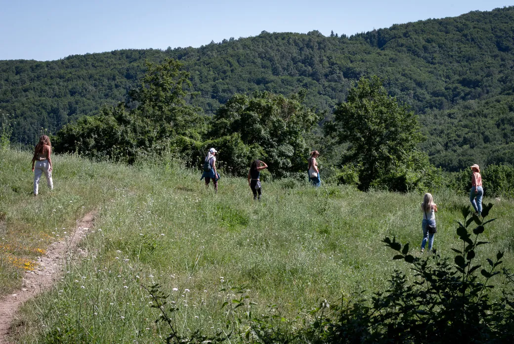 A group walking single file up a grassy hillside path towards the wooded hills