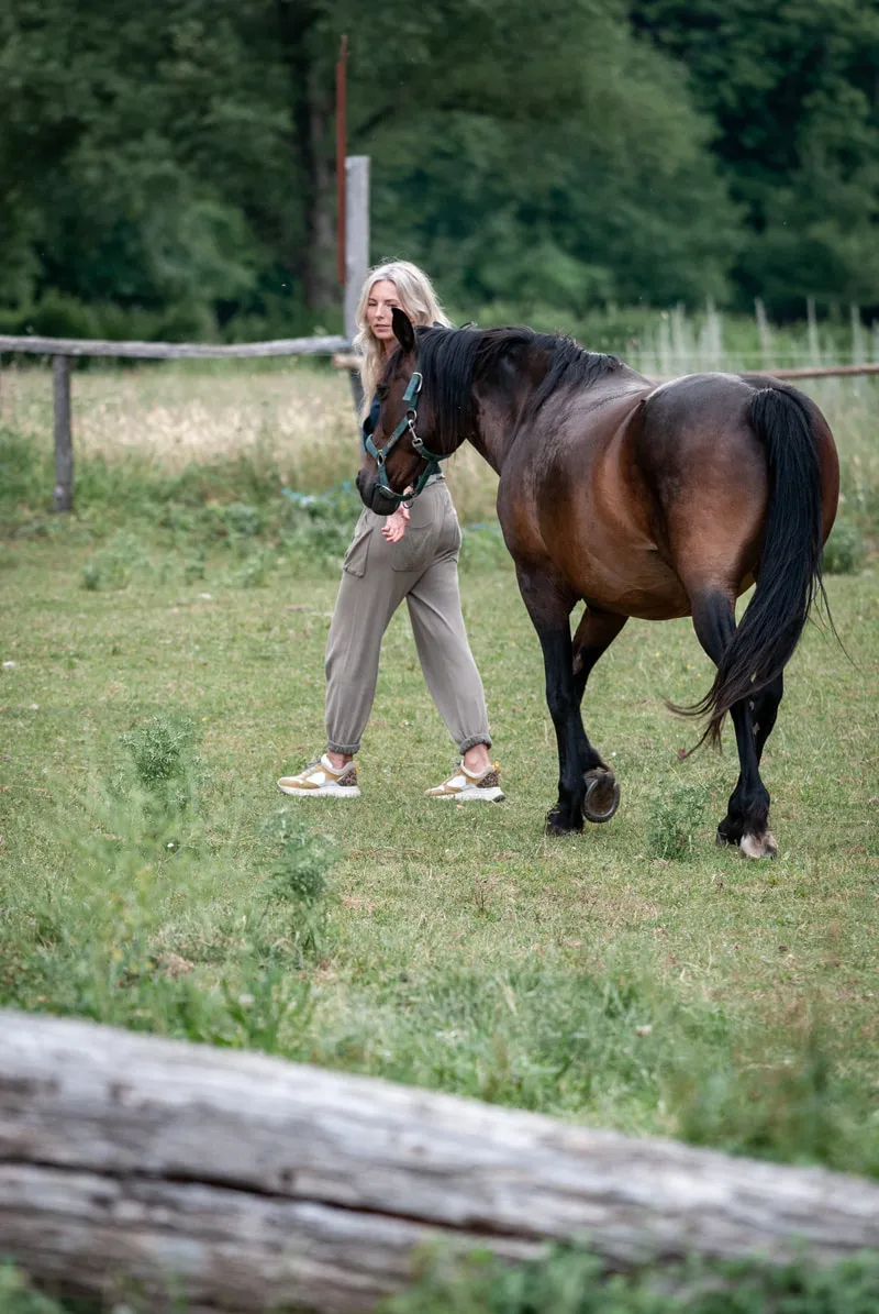 A woman walking side by side with a bay horse across the paddock
