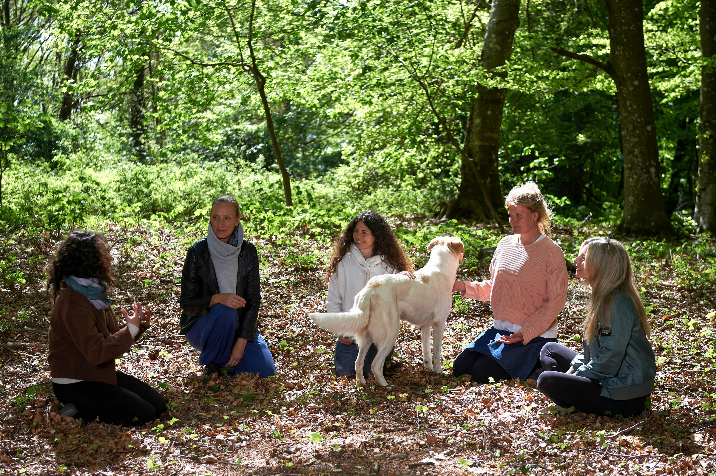 A circle of women sitting together on the woodland floor in dappled spring light, a pale dog among them