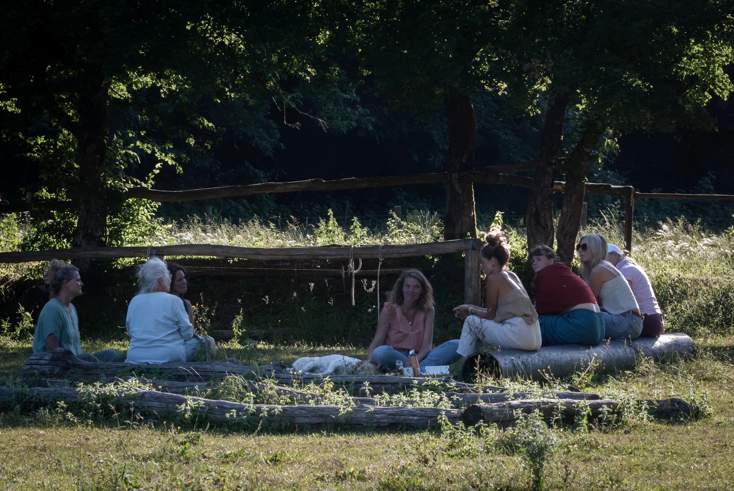 Women sitting together in a circle on fallen logs in the golden evening light